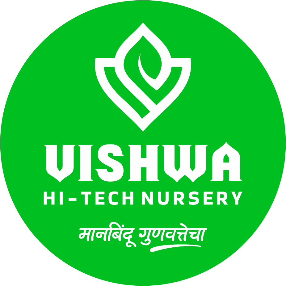 vishwahitechnursery
